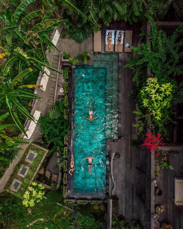 Dragon House - Your Dream House In Bali! Ubud Extérieur photo